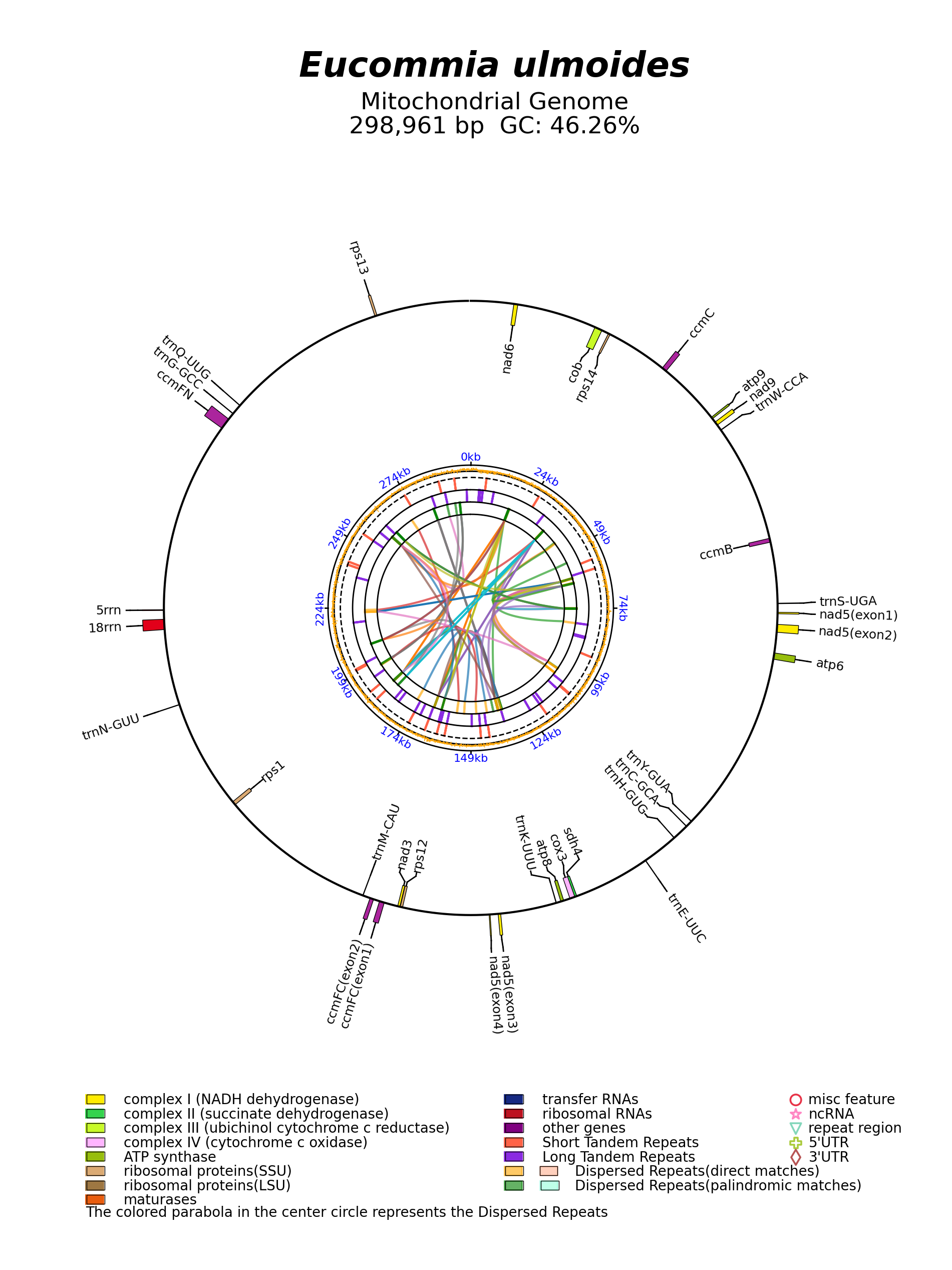 NC_082539_circular.png