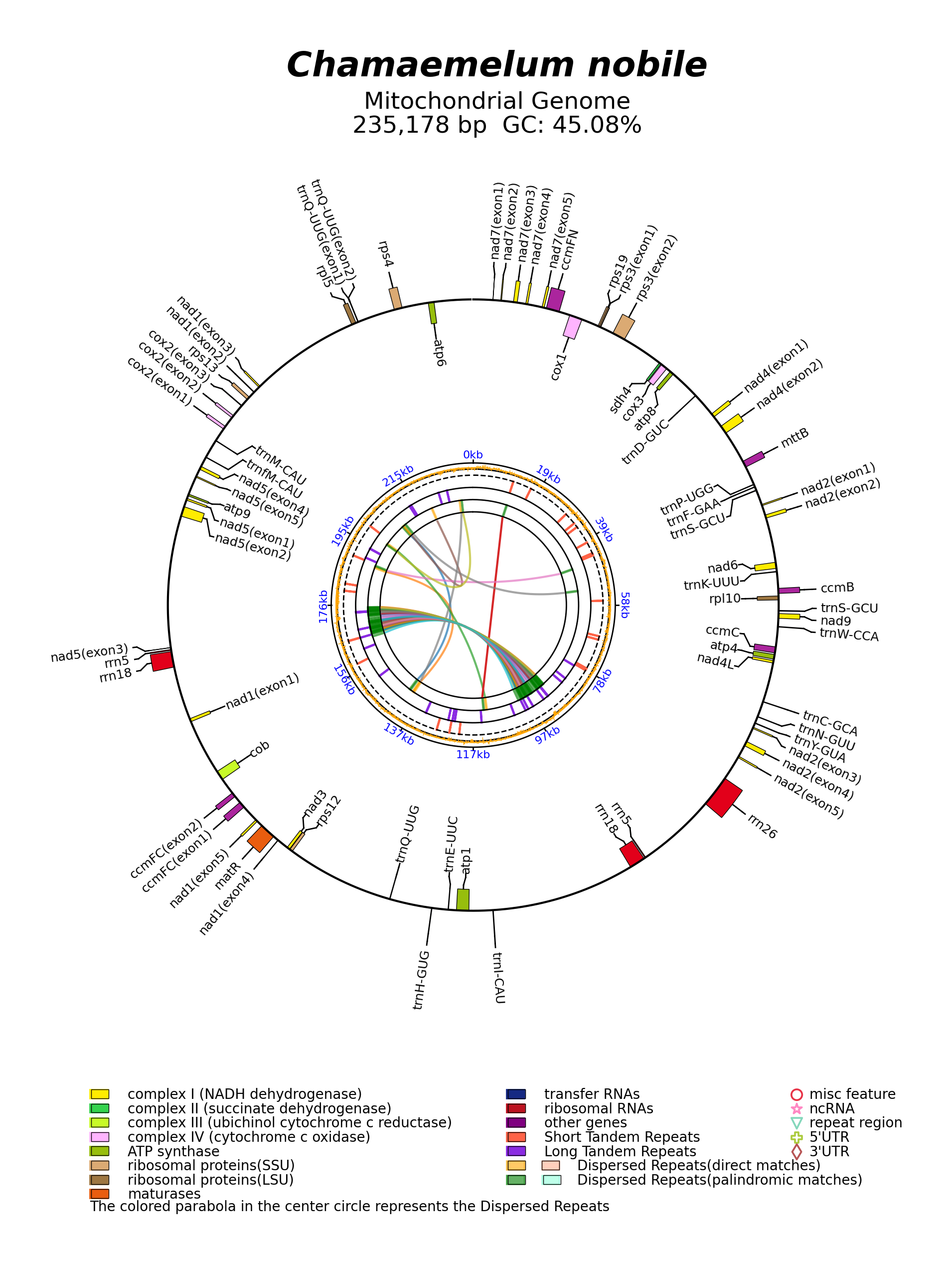NC_083147_circular.png