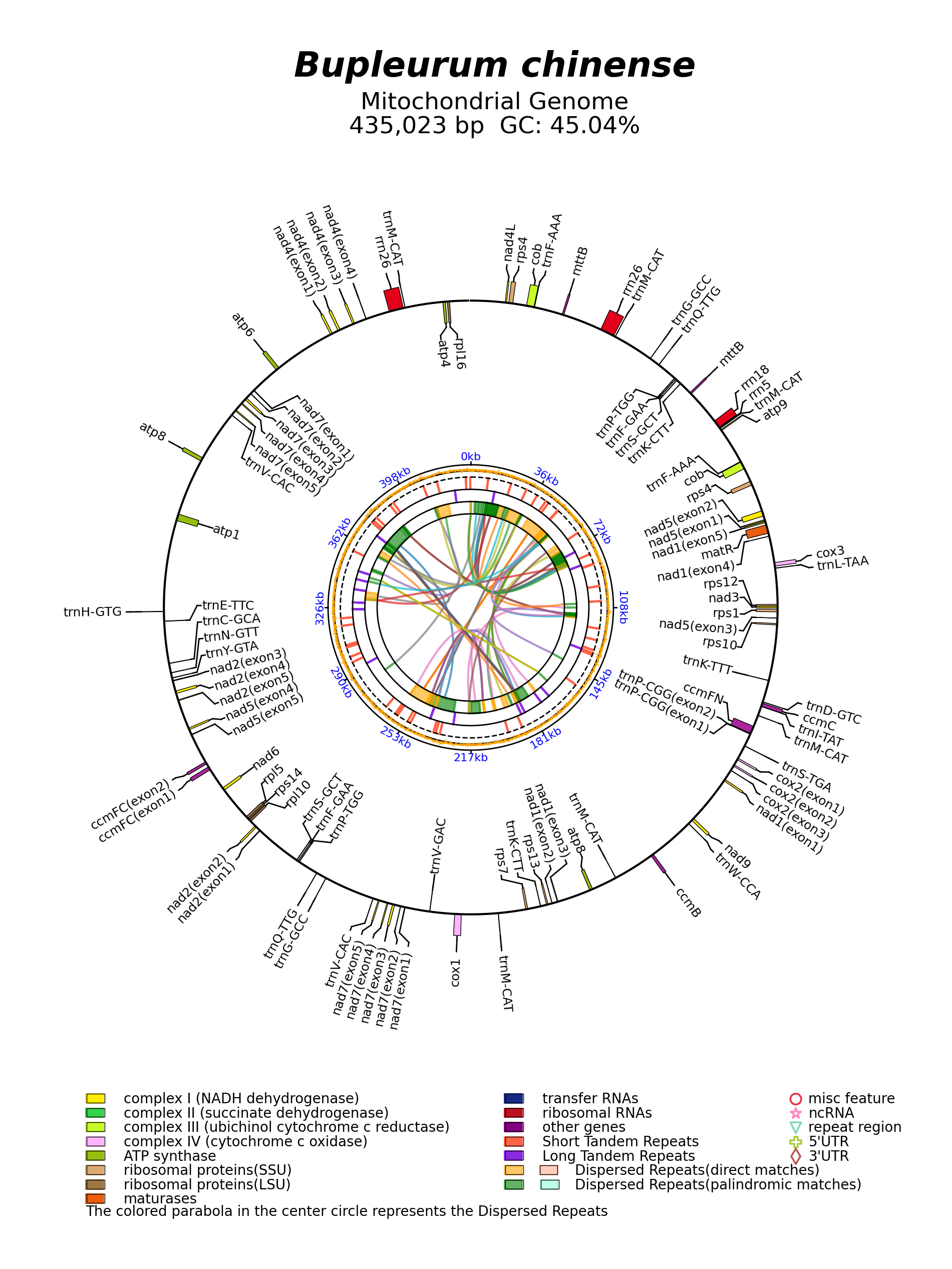 OK166971_circular.png