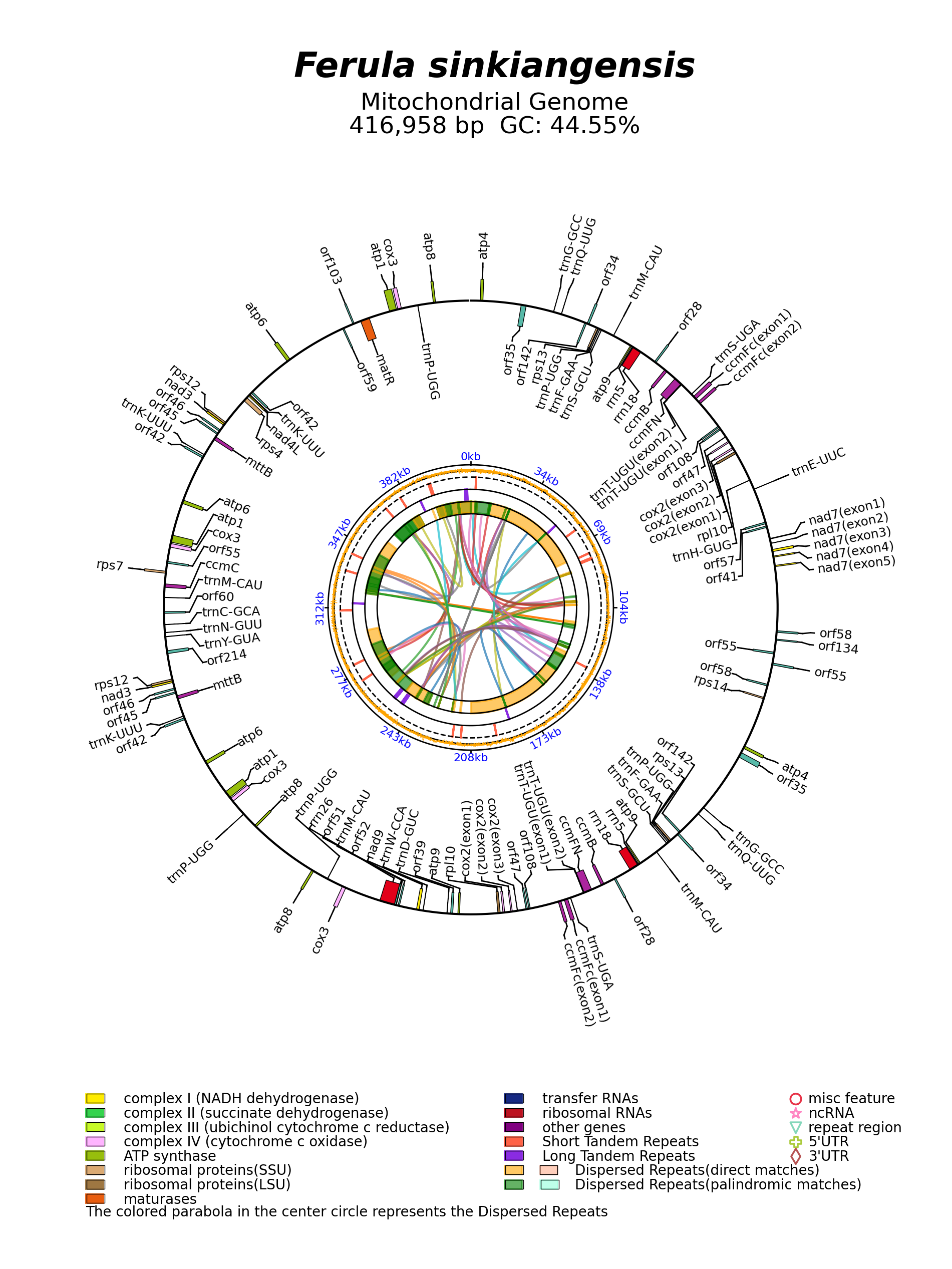 OK585063_circular.png