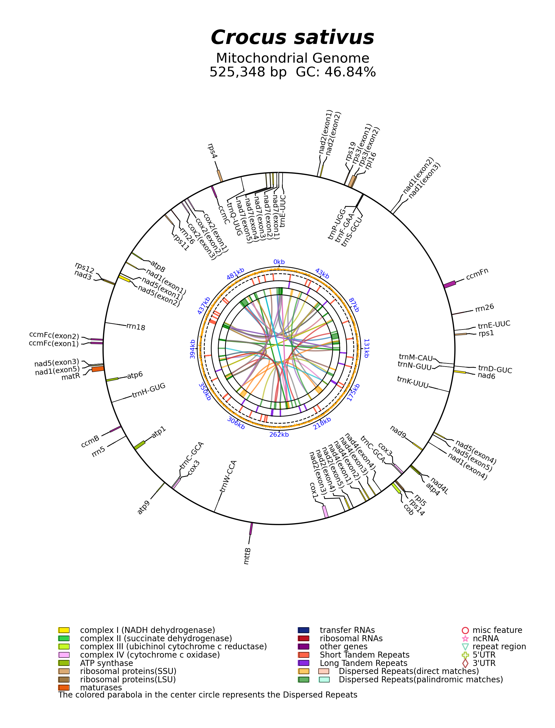 OL804177_circular.png