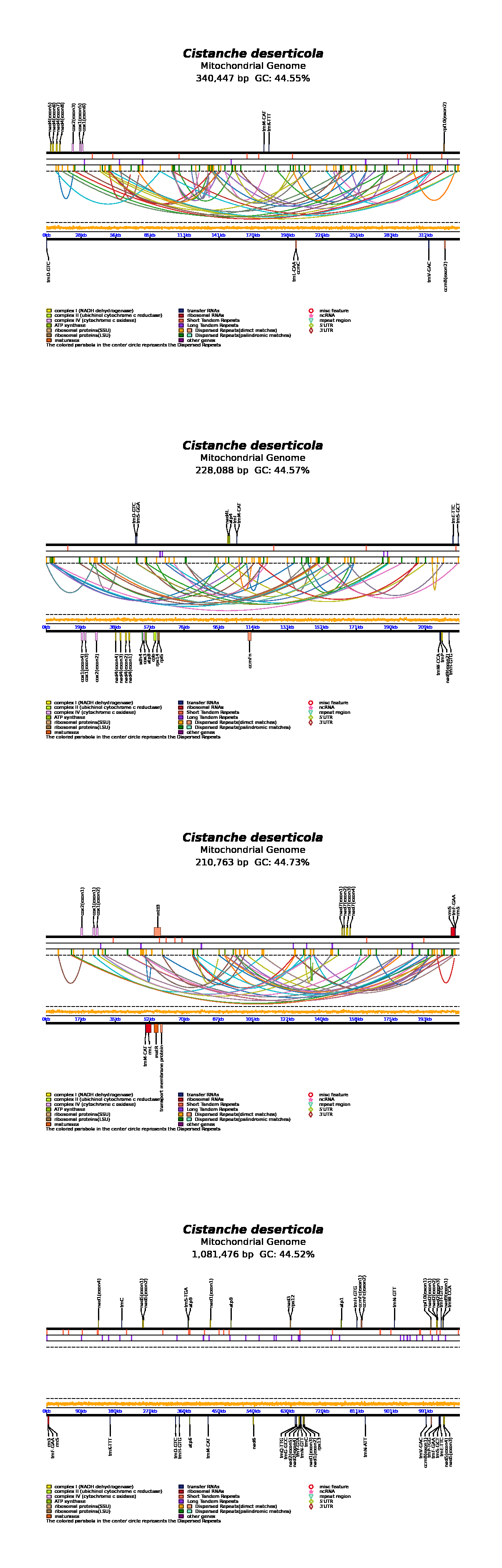 ogON890401.1_all.png