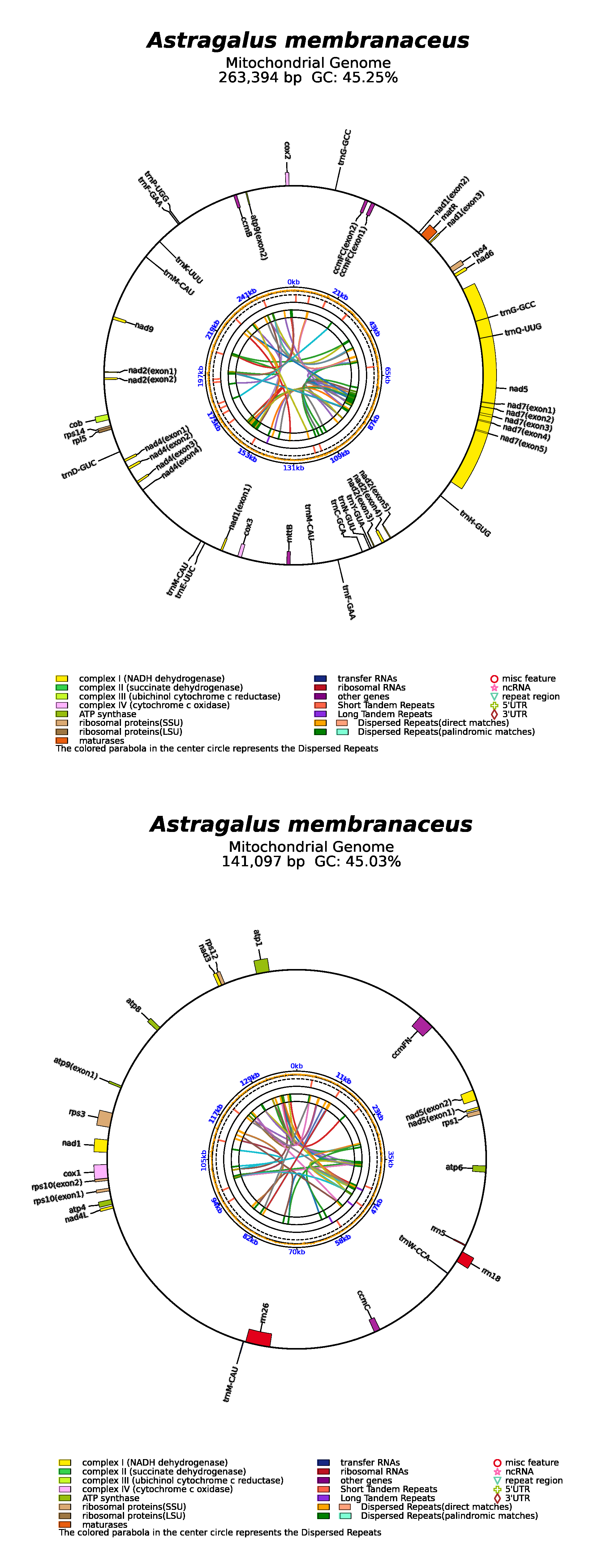 ogON930434.1_all.png