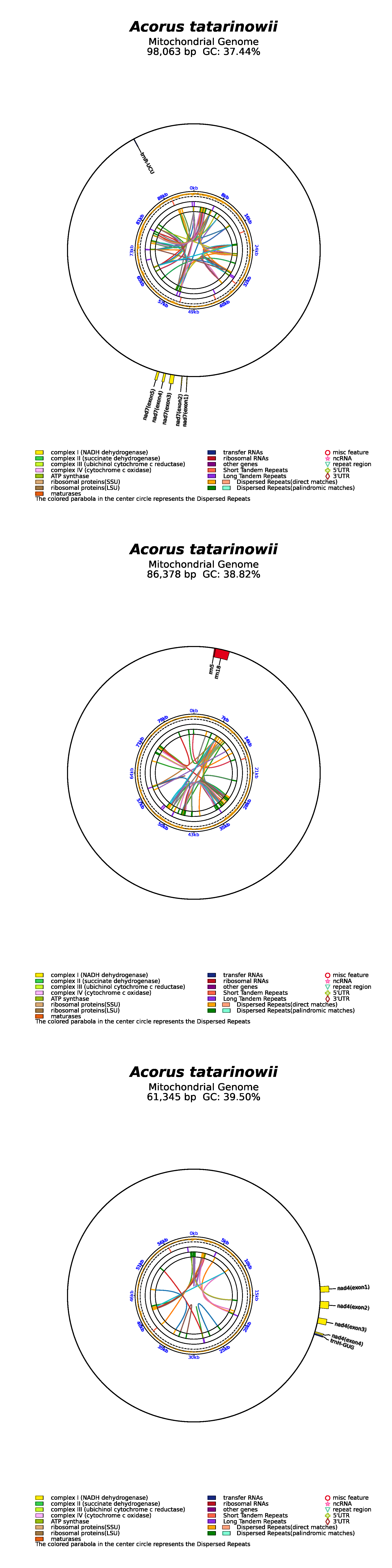 ogOR066322.1_all.png